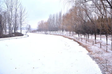 奥林匹克森林公园雪景