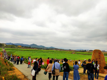 田园旅游区