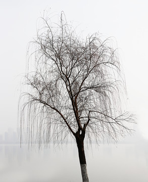 水墨冬景