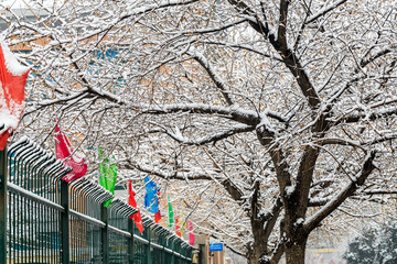 雪淞