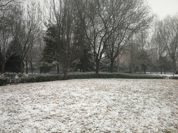 雪后的小公园