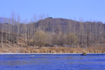 冬季太子河