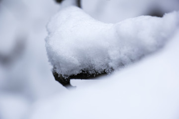 雪景