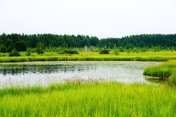 塞罕坝七星湖