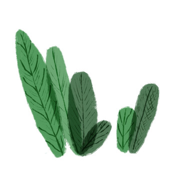 春天手繪紋理葉子組合