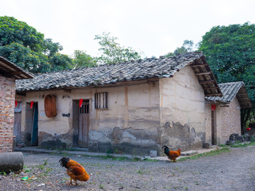 农村生活场景农家小院