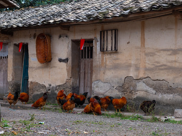 贫困山区贫困县农家小院