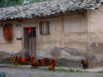 贫困山区贫困县农家小院