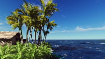 蓝天白云大海椰子树
