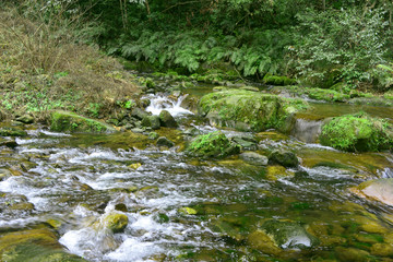 山谷小溪清流