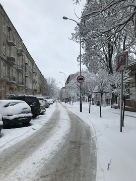 雪景