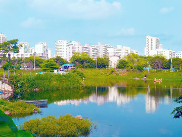 海口逍遥湖风景