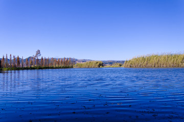 滇池湿地