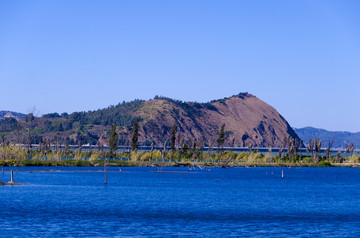 沼泽湿地