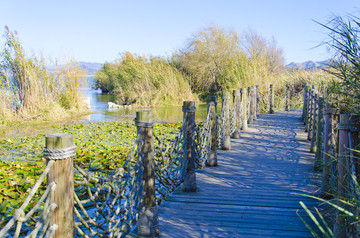 湿地浮桥