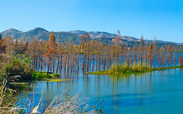 滇池湿地高清全景图