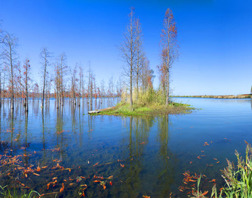 滇池湿地高清全景图