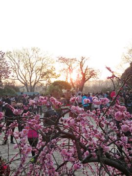 梅花山日出