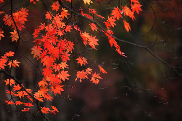 关门山