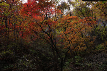 关门山