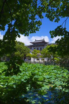 普陀山海印池