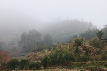 长龙风景