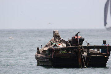 海景海鸥海洋游艇渔船渔业捕鱼