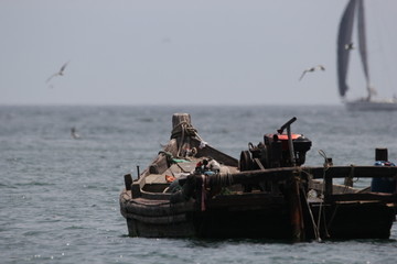 海景海鸥海洋游艇渔船渔业捕鱼