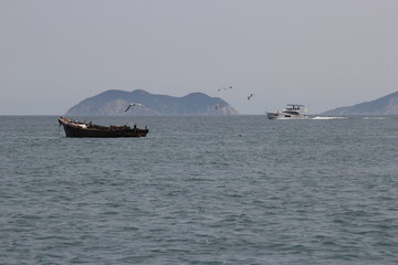 海景海鸥海洋游艇渔船渔业捕鱼