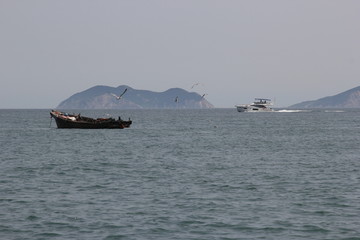 海景海鸥海洋游艇渔船渔业捕鱼