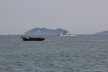 海景海鸥海洋游艇渔船渔业捕鱼