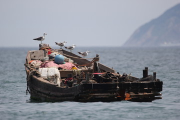 海景海鸥海洋游艇渔船渔业捕鱼