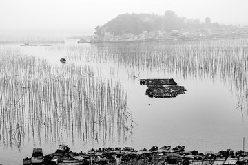 霞浦县沙江村S湾滩涂