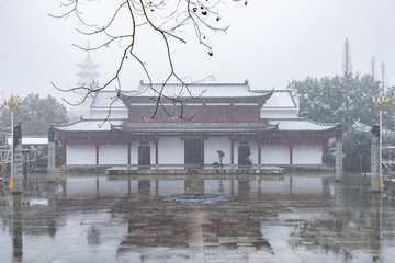 浙江金华市茶花园雪景