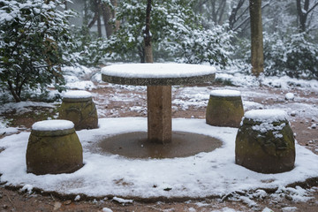 浙江金华茶花园雪景