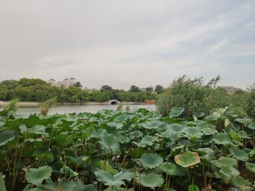 济南大明湖