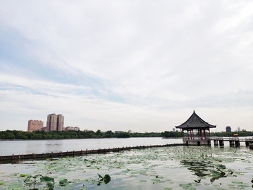 济南大明湖