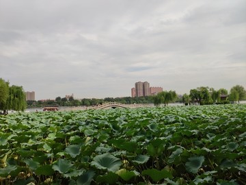 济南大明湖