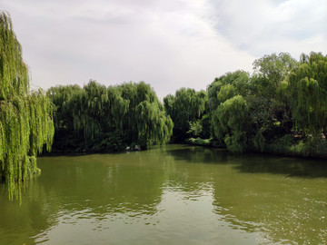 济南大明湖公园