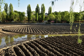 紫竹院公园