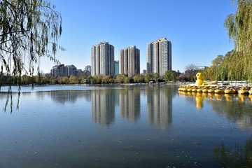 紫竹院雪景