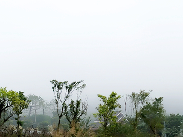 雨雾天气山林秀