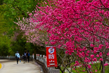 桃花峪风光