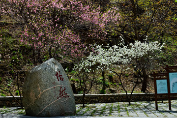 泰山桃花峪风光