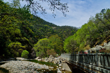 泰山西路桃花峪风光