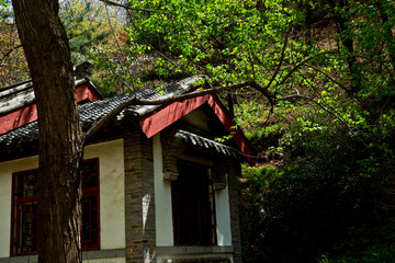 泰山桃花峪风光