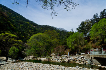 泰山桃花峪风光