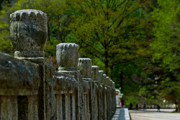 泰山桃花源风光