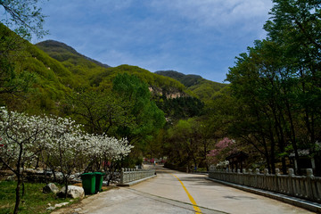 泰山桃花峪风光