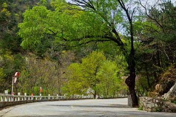 泰山桃花源风光